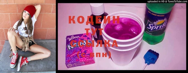 гидра Богданович