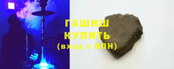гидра Богданович