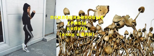 дмт Балахна
