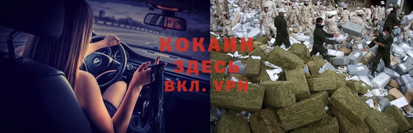 твердый Богородицк