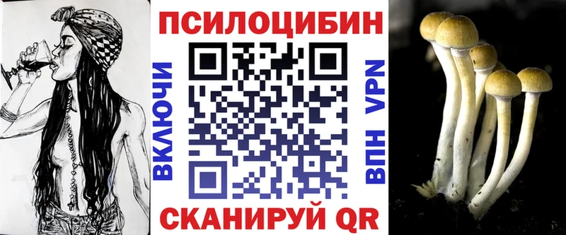блэк спрут   Биробиджан  Псилоцибиновые грибы Psilocybine cubensis  как найти закладки 